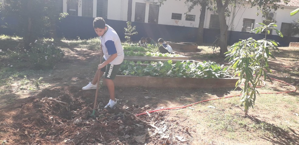 Projeto ambiental foi realizado por estudantes em Álvares Machado (SP) — Foto: Cedida