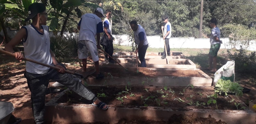 Projeto ambiental foi realizado por estudantes em Álvares Machado (SP) — Foto: Cedida
