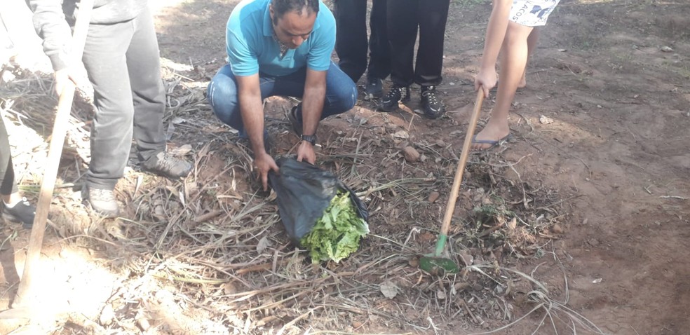 Projeto ambiental foi realizado por estudantes em Álvares Machado (SP) — Foto: Cedida