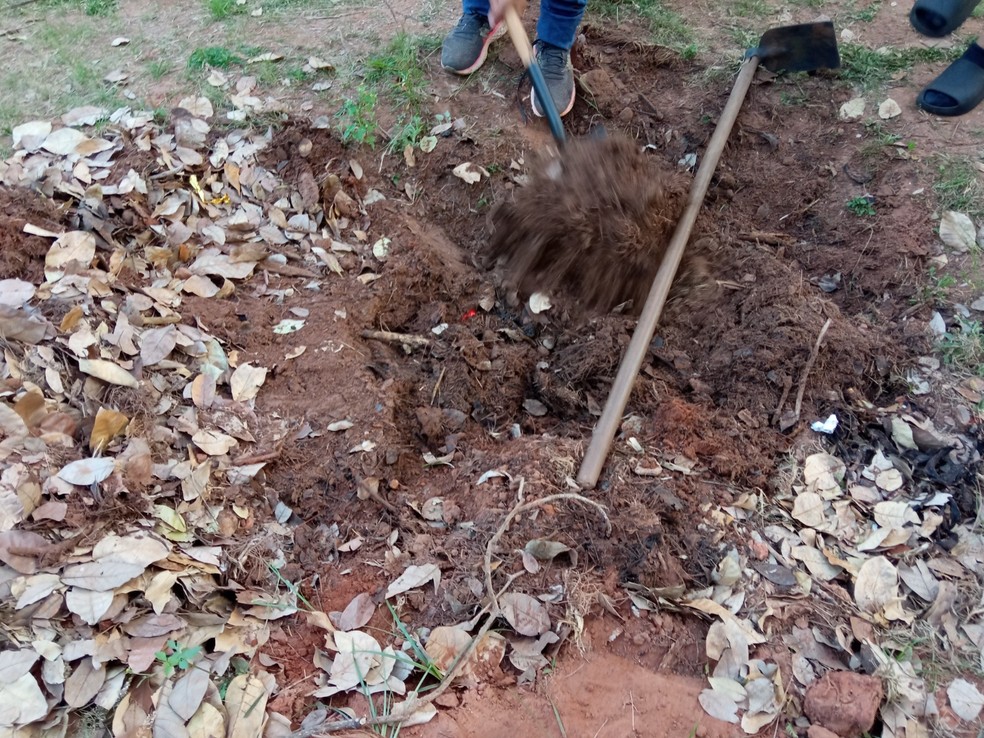 Projeto ambiental foi realizado por estudantes em Álvares Machado (SP) — Foto: Cedida