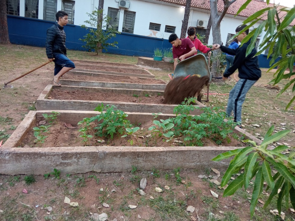 Projeto ambiental foi realizado por estudantes em Álvares Machado (SP) — Foto: Cedida