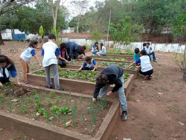j1 Projeto desenvolvido por estudantes de Álvares Machado é selecionado para participar de conferência nacional pelo meio ambiente em São Paulo