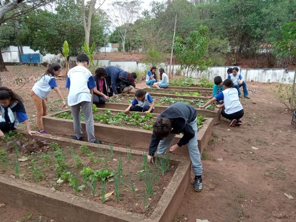 Projeto ambiental foi realizado por estudantes em Álvares Machado (SP) — Foto: Cedida