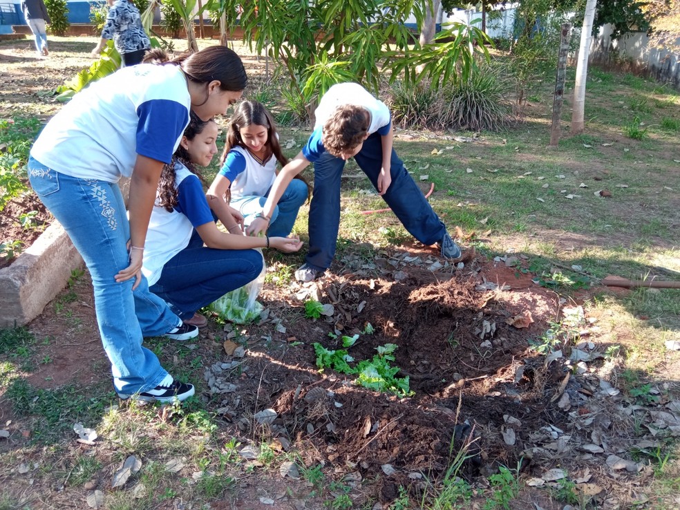 Projeto ambiental foi realizado por estudantes em Álvares Machado (SP) — Foto: Cedida