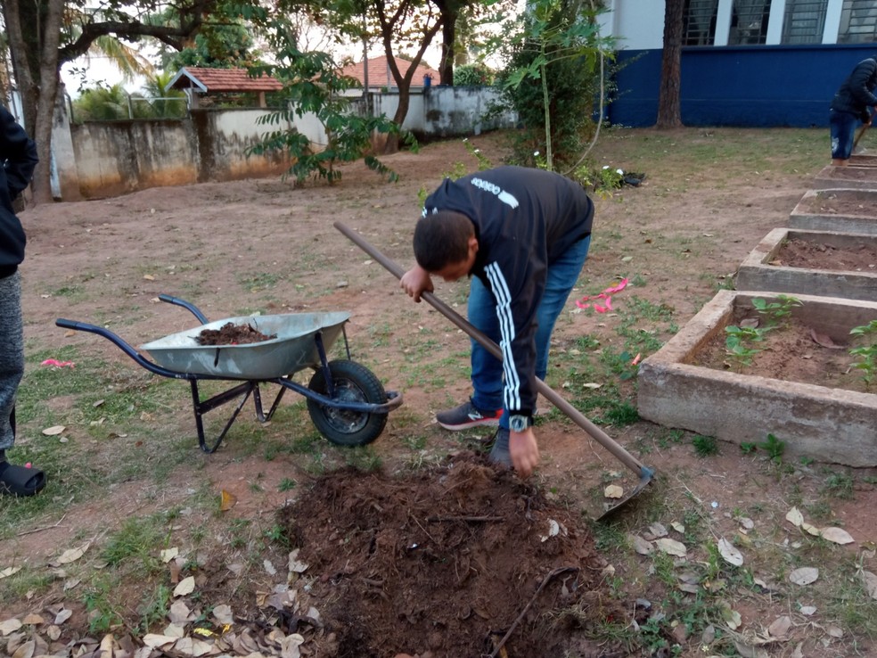 Projeto ambiental foi realizado por estudantes em Álvares Machado (SP) — Foto: Cedida