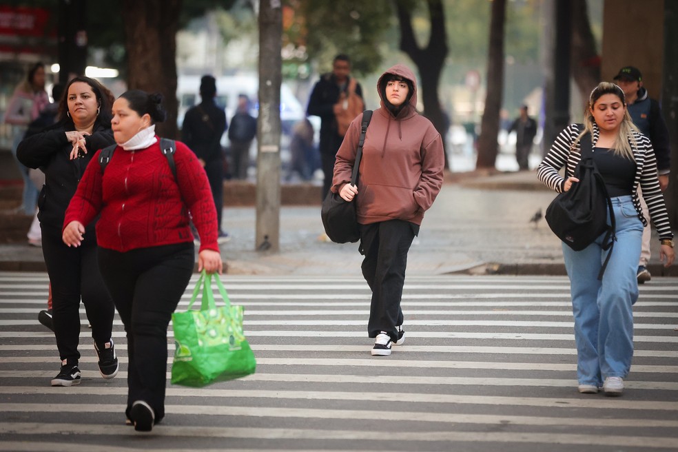 Pedestres caminham em dia de frio na capital paulista. — Foto: Divulgação/Governo de SP