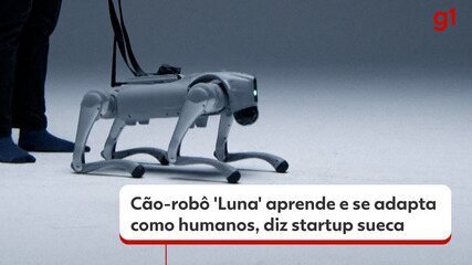 Cão-robô 'Luna' aprende e se adapta como humanos， diz startup sueca 