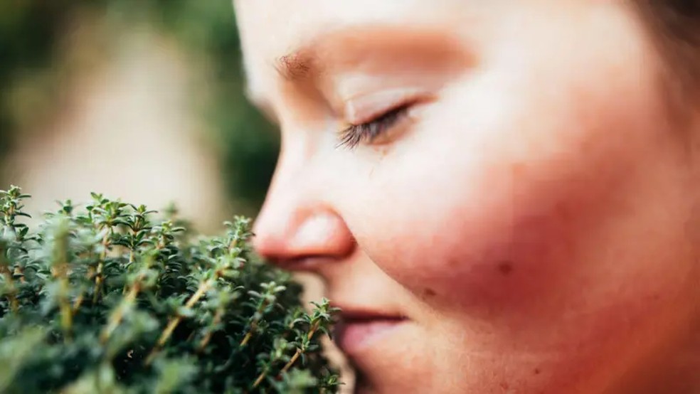 As pessoas com hiperosmia têm o sentido do olfato superdesenvolvido. — Foto: GETTY IMAGES via BBC