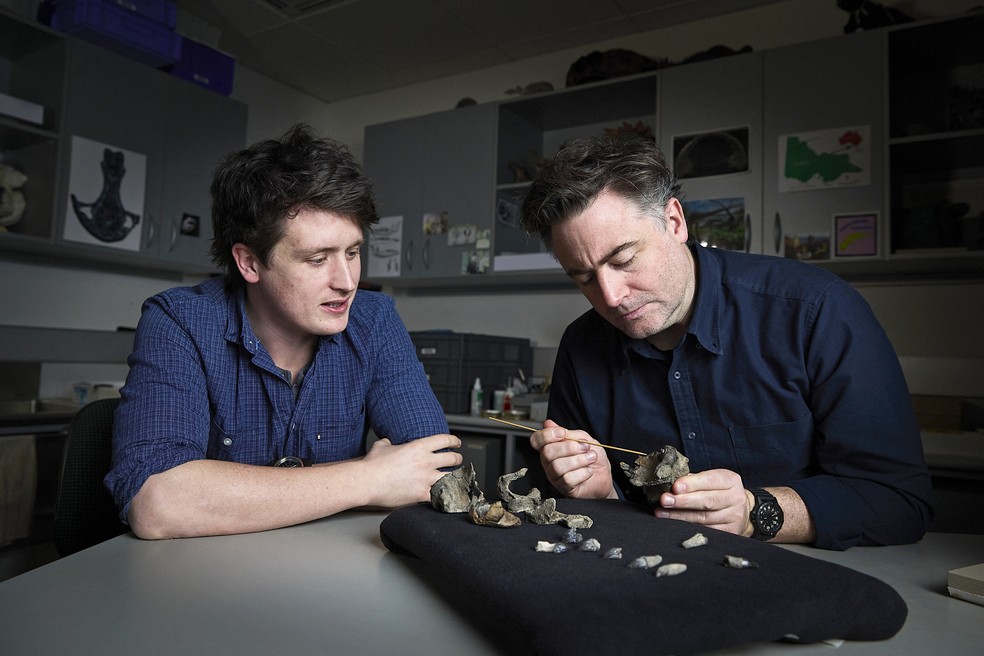 O pesquisador do Museums Victoria， Ruairidh Duncan (à esquerda)， e o paleontólogo Erich Fitzgerald， com o crânio e os dentes fósseis parciais de Janjucetus dullardi em Melbourne — Foto: Tom BREAKWELL / MUSEUS VICTORIA / AFP