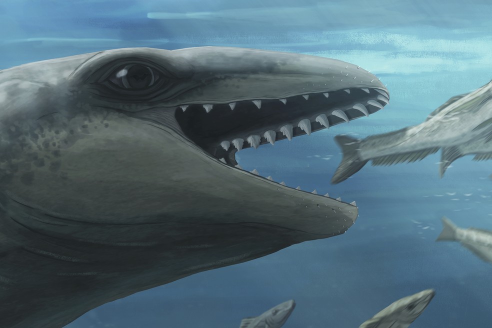Nesta ilustração fornecida por Ruairidh Duncan， um Janjucetus dumbardi é retratado perseguindo um peixe. — Foto: Ruairidh Duncan via AP