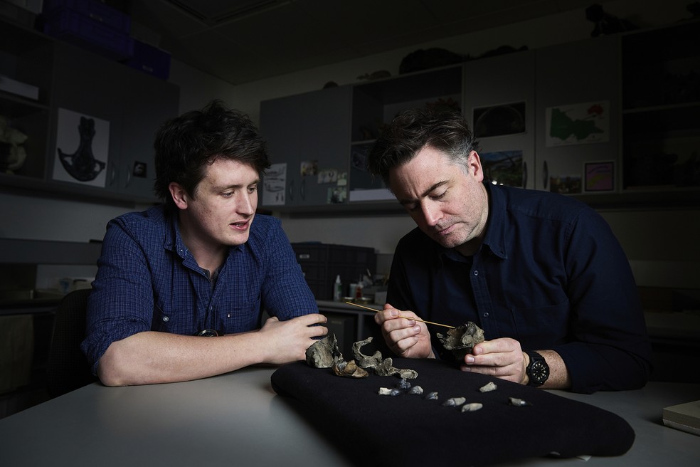 Ruairidh Duncan， à esquerda， e Erich Fitzgerald examinam um crânio fóssil parcial no laboratório de paleontologia do Museu de Melbourne， em Melbourne. — Foto: Tom Breakwell/Museums Victoria via AP