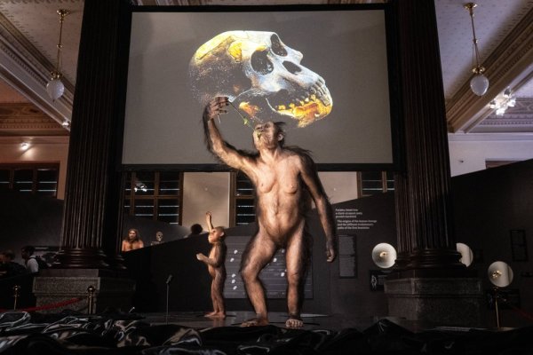 j1 Fóssil de Lucy, ancestral humana de 3,18 milhões de anos, é exibido pela 1ª vez na Europa