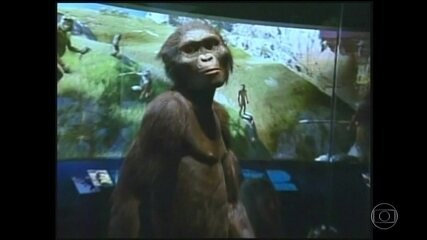 Cientistas descobrem causa da morte de Lucy， o fóssil de 3 milhões de anos