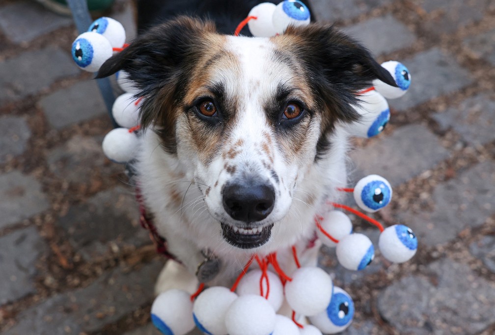 Cachorro fantasiado com olhos pendurados no corpo participa do Desfile Canino de Halloween no Parque da Praça Tompkins， em Nova York — Foto: Caitlin Ochs/Reuters
