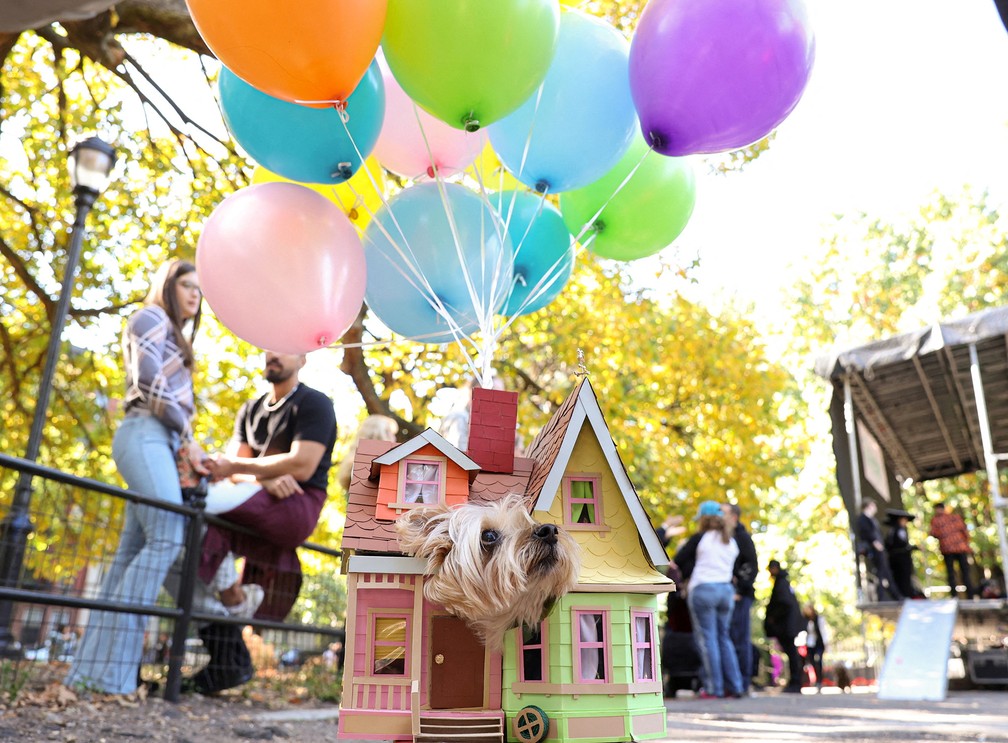 Cachorro fantasiado como a casa de 'Up - Altas Aventuras' participa do Desfile Canino de Halloween no Parque da Praça Tompkins， em Nova York — Foto: Caitlin Ochs/Reuters