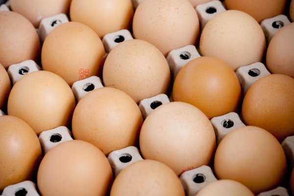 j1 com Exportações de frango podem cair neste ano, mas vendas de ovos devem disparar, diz associação