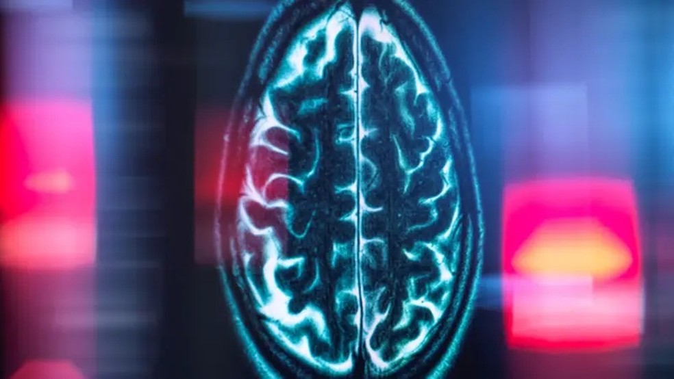 Soltos em uma pequena arena adaptada ao tamanho dos animais， os pesquisadores monitoraram uma região cerebral conhecida por sua importância na navegação e na memória — Foto: Getty Images