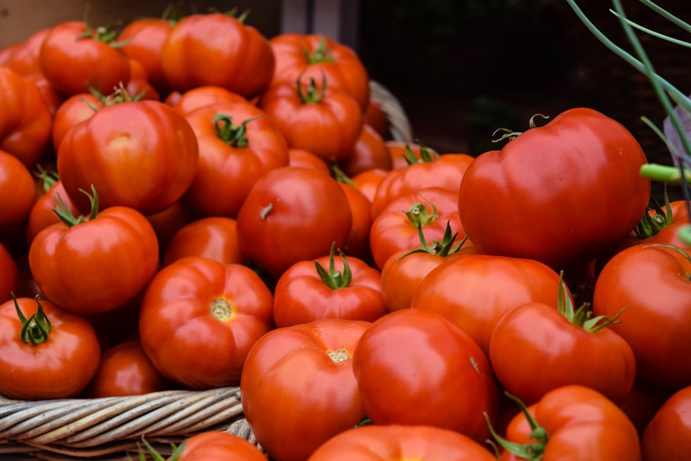 Tomate — Foto:  Josephine Baran / Unsplash