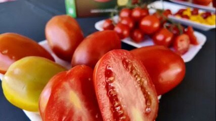 j1 com Tomate é fruta ou hortaliça? Entenda a classificação e por que ele não vai na salada de frutas